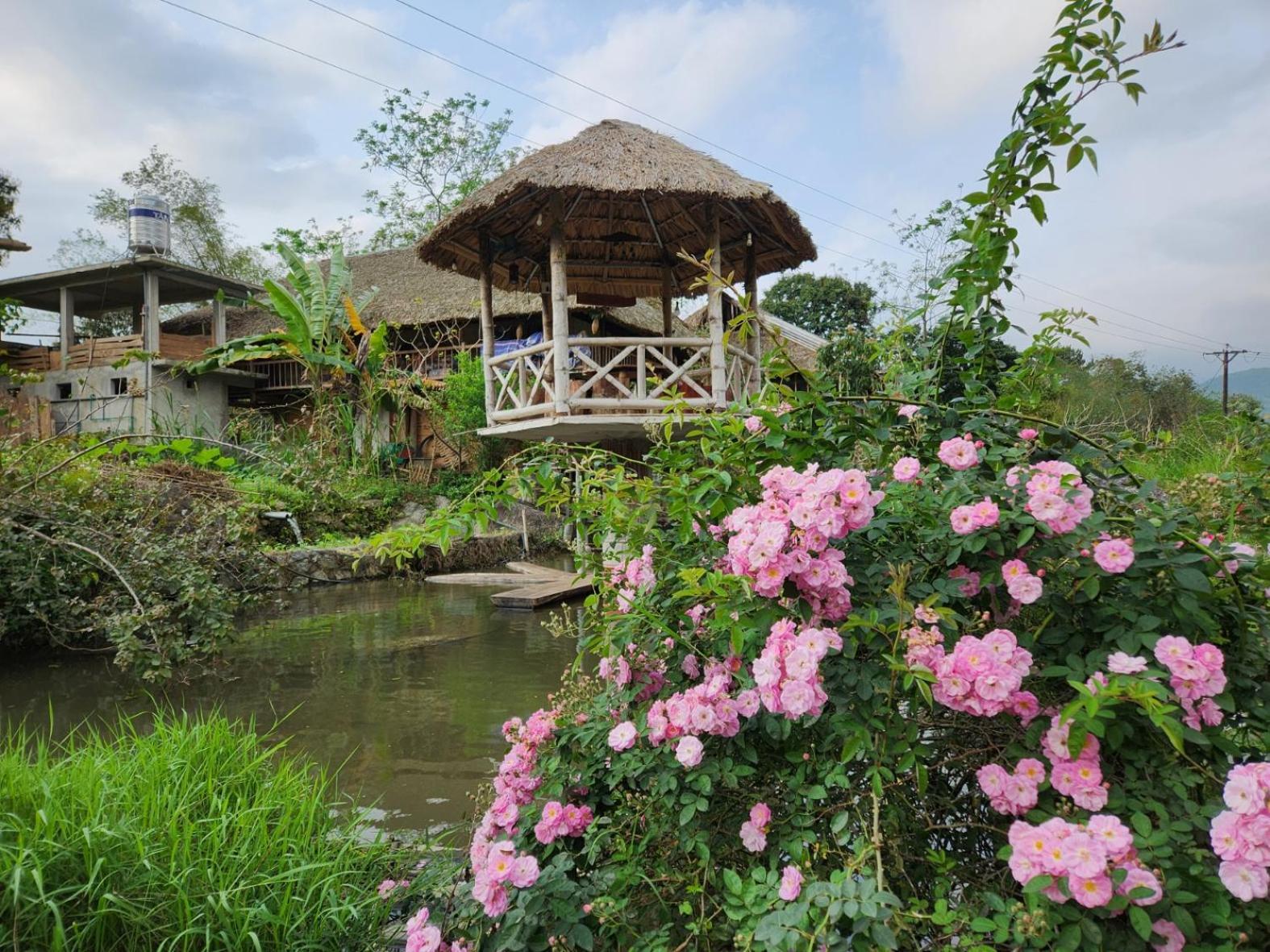 Dong Que Homestay-Tours-Motorbike, Car Rental, Hiking Ha Giang Luaran gambar