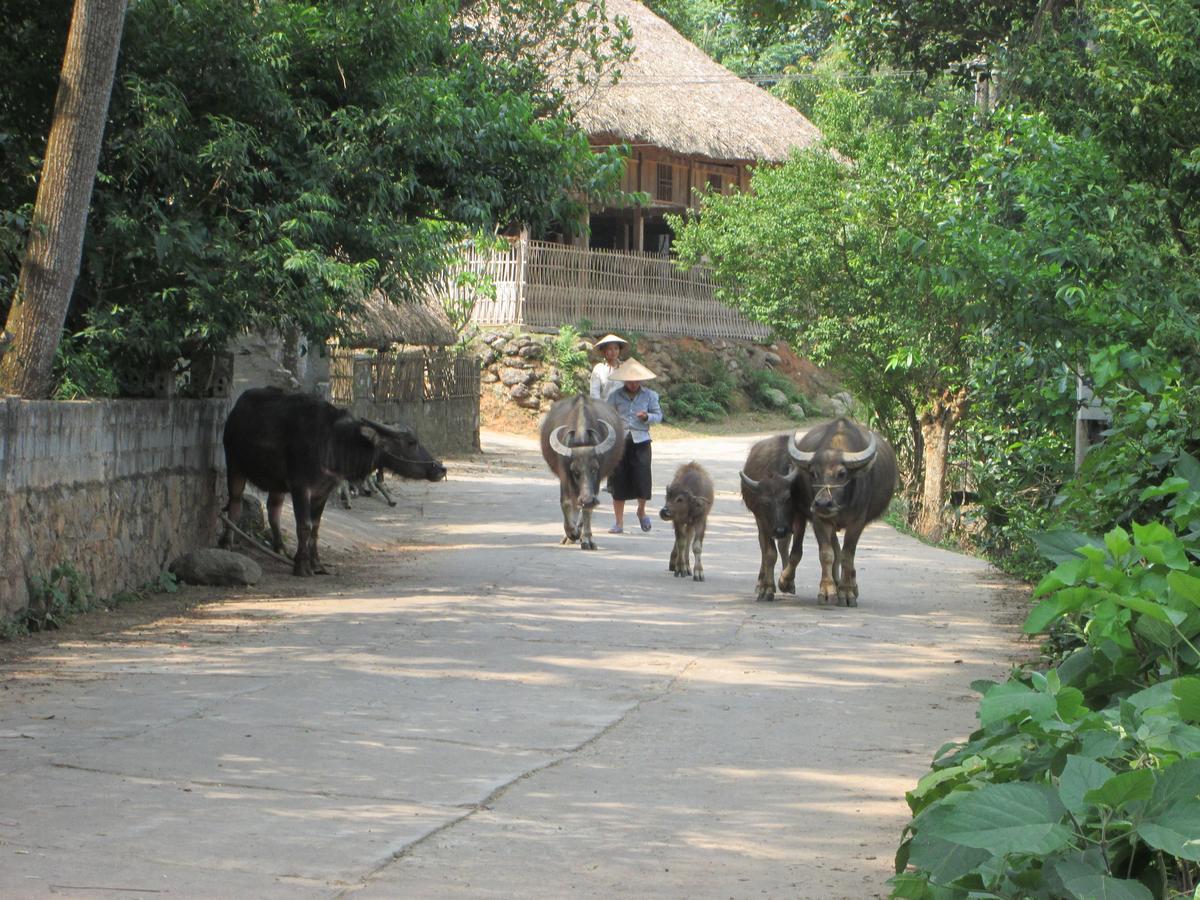 Dong Que Homestay-Tours-Motorbike, Car Rental, Hiking Ha Giang Luaran gambar
